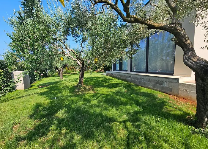 Vila Aurora